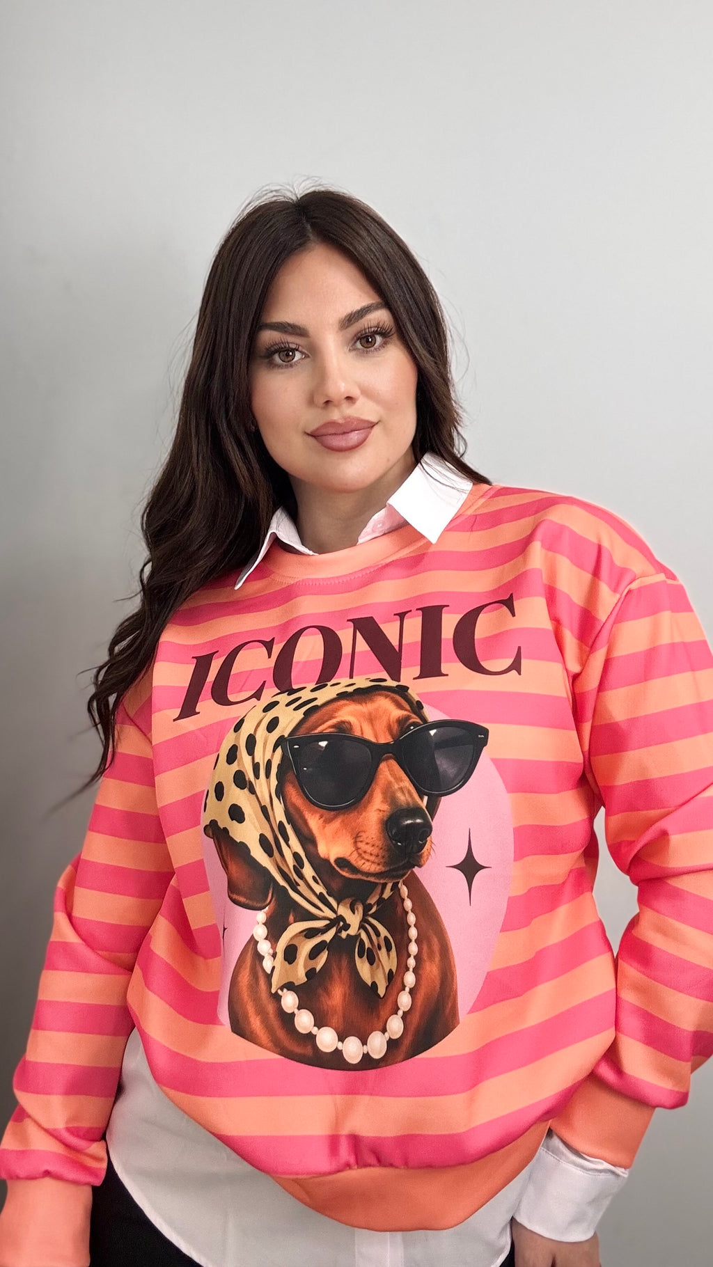 Sudadera rayas dos